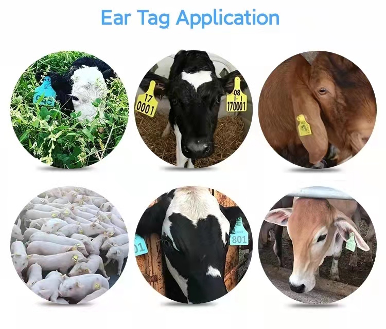 étiquette d'oreille pour bétail