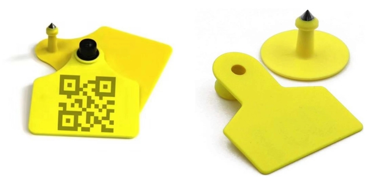 RFID ear tag for animal tracking