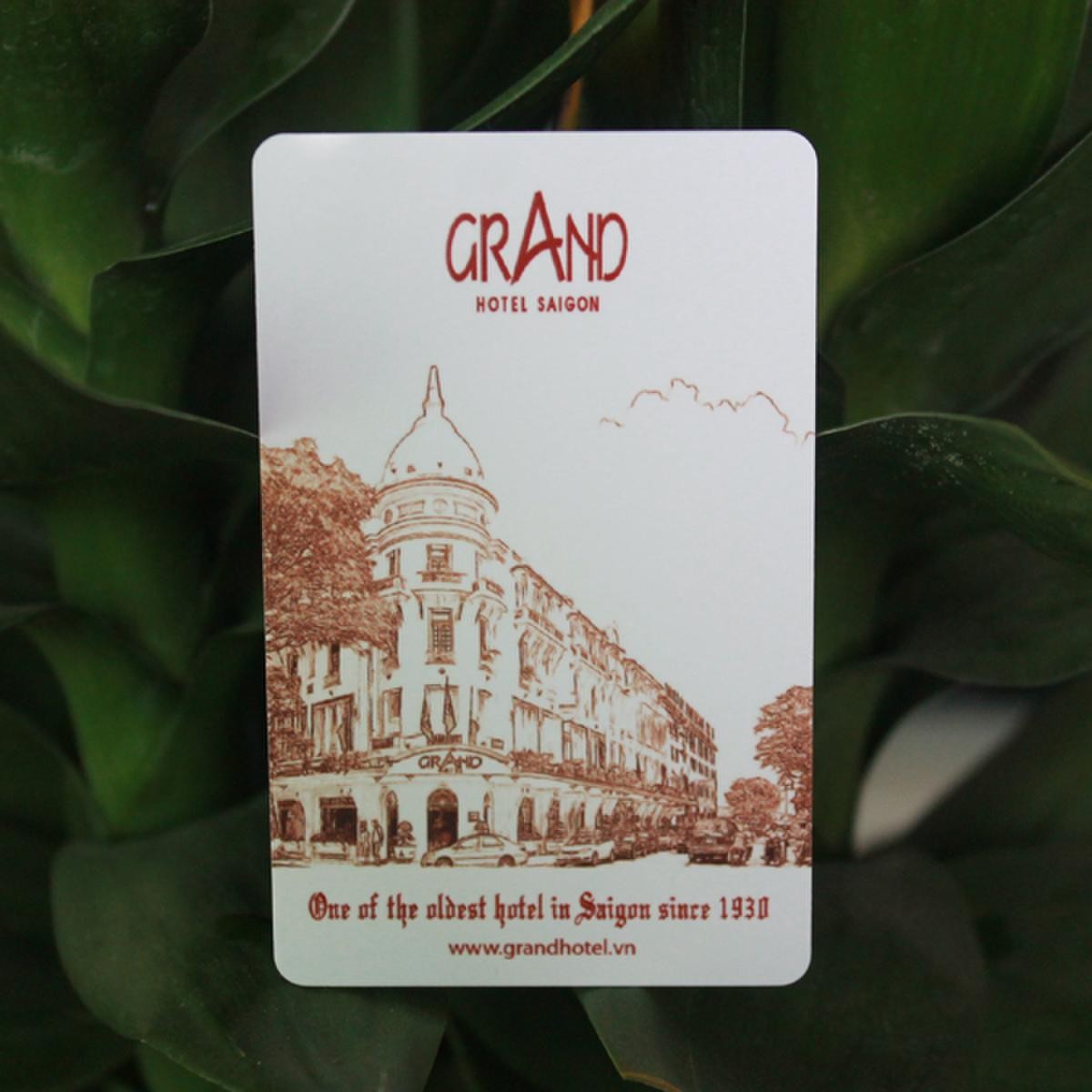 Aperçu de la carte VIP