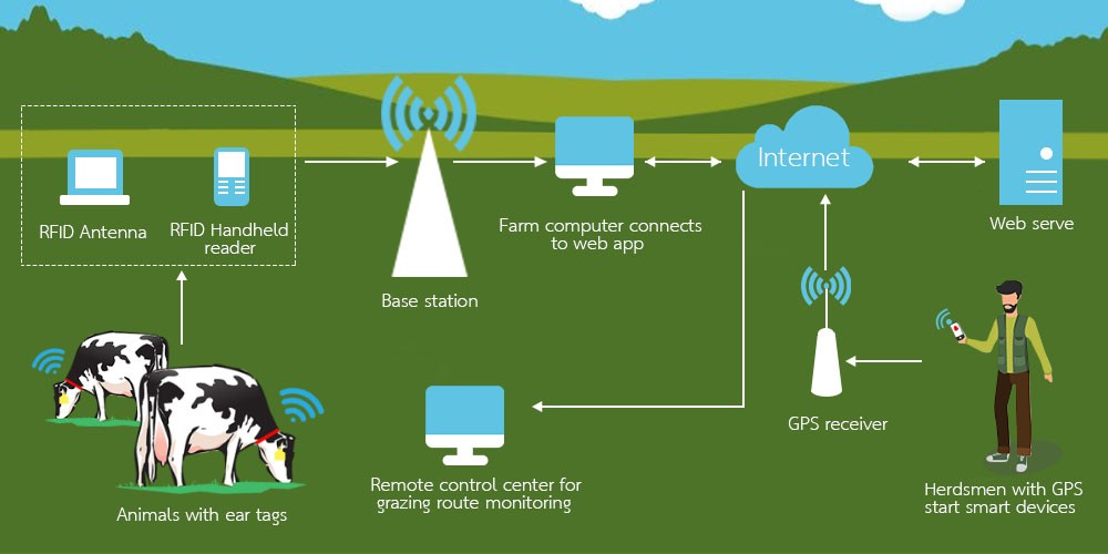 Découvrez le mystère des étiquettes RFID animales, quel rôle jouent-elles ?