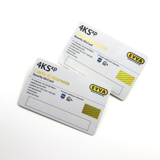 Carte de membre spéciale pour hôtel, matériau laser arc-en-ciel artisanal