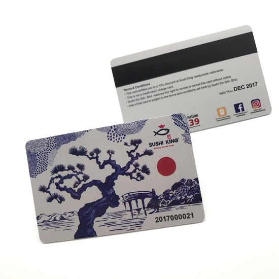 Carte de membre PVC Hico à bande magnétique, impression recto verso