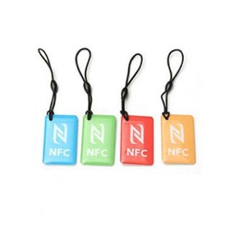Porte-clés à puce RFID/NFC transparent, fourniture d'usine, étiquette de carte de proximité 125 MHz, porte-clés époxy RFID