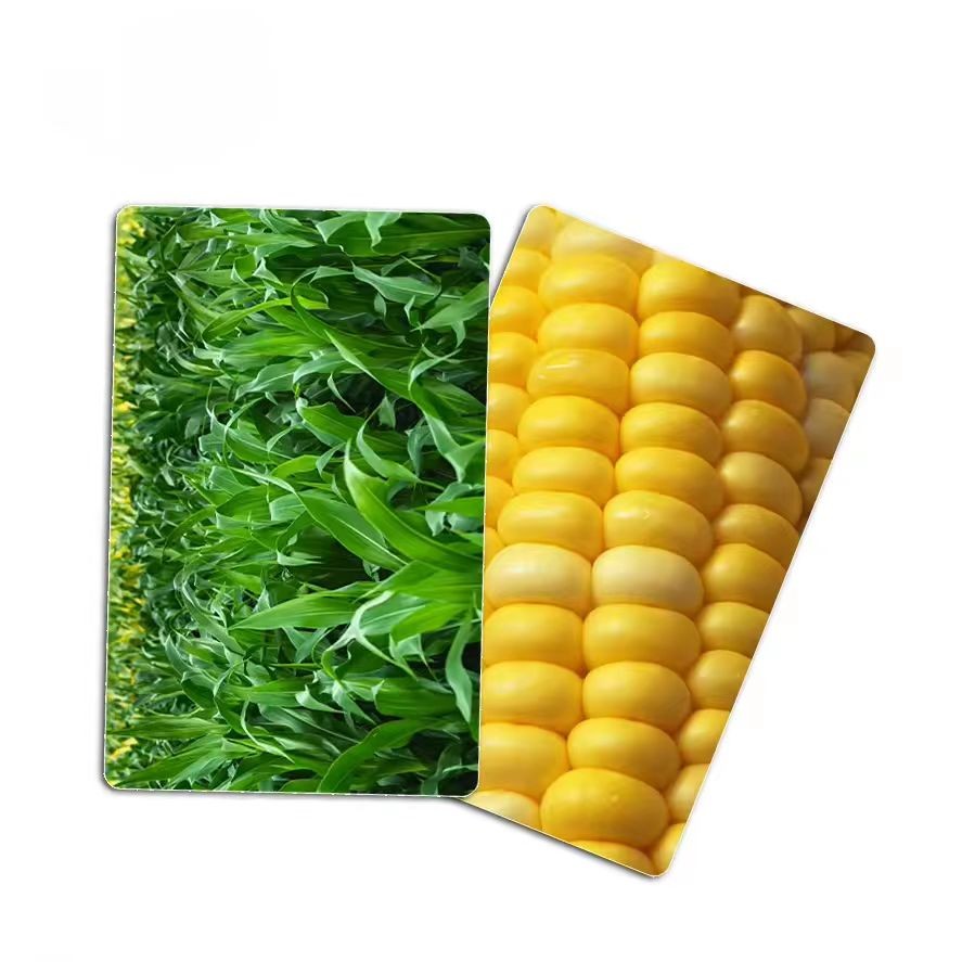 Carte vierge blanche en PLA écologique de haute qualité avec puce FMR11F08, impression personnalisée en usine