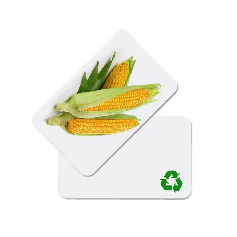 Carte vierge blanche en PLA écologique de haute qualité avec puce FMR11F08, impression personnalisée en usine