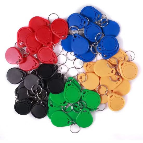 Porte-clés RFID réinscriptibles et étanches, 125 kHz, 13,56 MHz