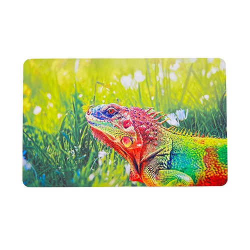 Carte PC personnalisée imprimée avec code-barres UV et bande magnétique