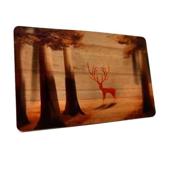 Carte-clé d'hôtel NFC en bois 13,56 MHz programmable RFID en bois avec puce 213/215/215