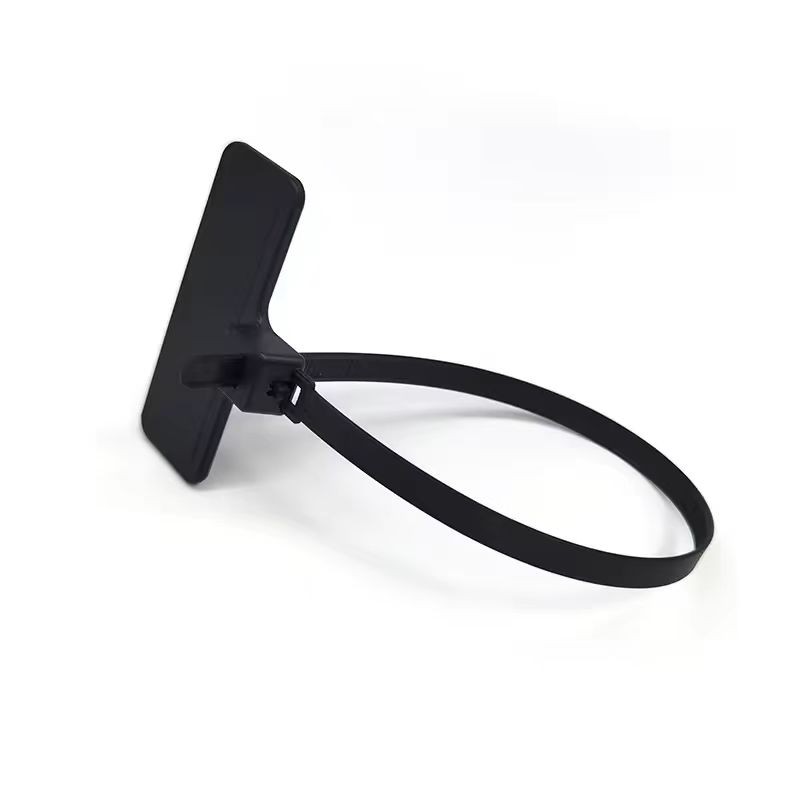 Étiquette de serrage de câble RFID UHF réutilisable 860-960 MHz pour le suivi des conteneurs ou des bouteilles de gaz