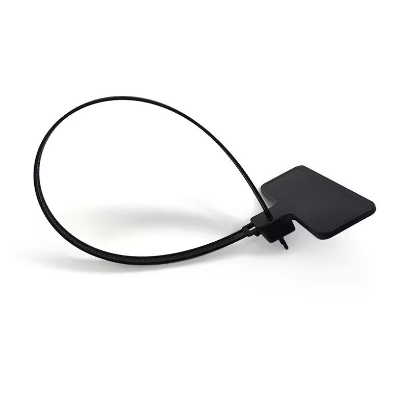 Étiquette de serrage de câble RFID UHF réutilisable 860-960 MHz pour le suivi des conteneurs ou des bouteilles de gaz
