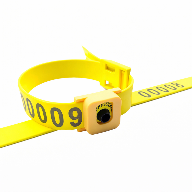 RFID cattle leg band bulk packaging for export