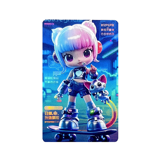 cartes plastiques