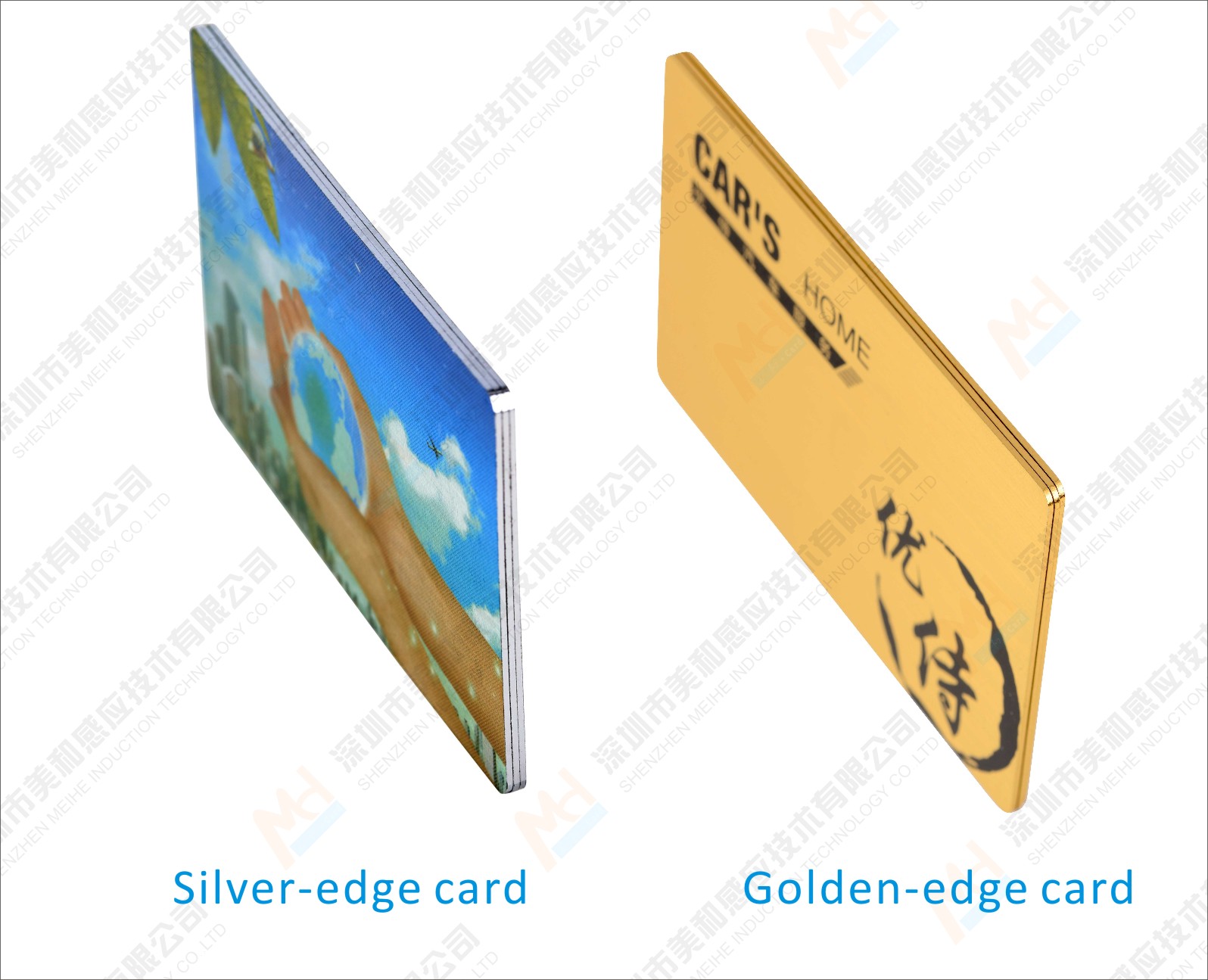 Silver & Golden Edge Card est devenu le leader de la carte de membre