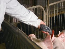 Recherche sur l'application de la technologie RFID dans la plateforme de traçabilité de la sécurité sanitaire des aliments
