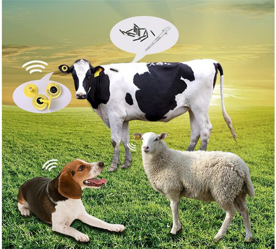 Solution RFID de système de traçabilité de nourriture d'animal - étiquette d'oreille d'animal de RFID