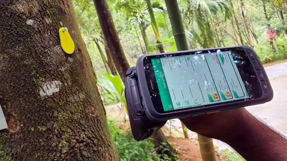 Une entreprise forestière du Sri Lanka utilise la technologie RFID pour suivre la santé des arbres